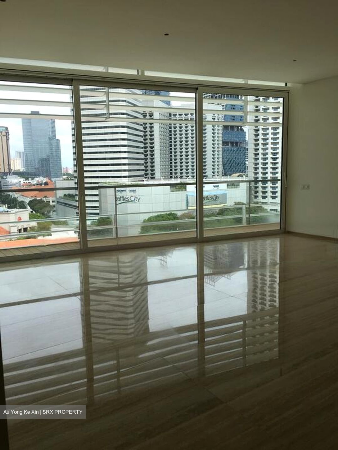 Eden Residences Capitol (D6), Apartment #465143881